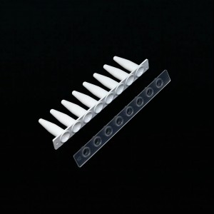 0.2mL Bodas 8-Strip PCR tube