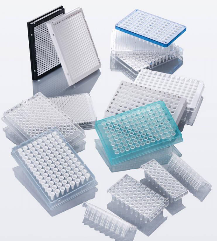 Choosing Between 96-Well and 384-Well Plates in the Laboratory: Which Enhances Efficiency More?