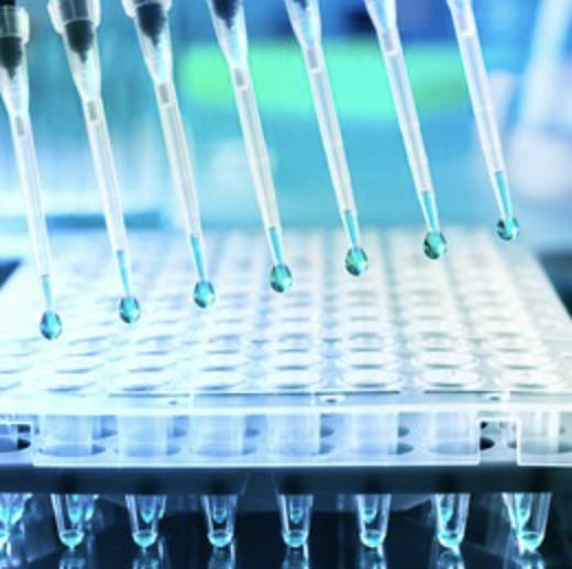 Khi nào chúng ta sử dụng các tấm PCR và khi nào chúng ta sử dụng ống PCR?